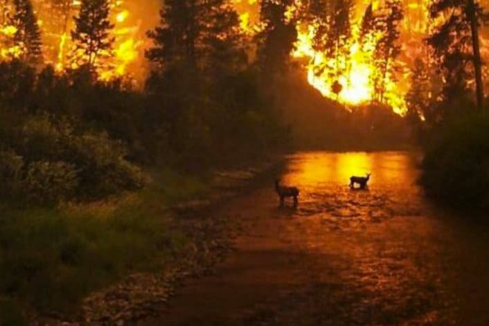 Prayer for Gatlinburg
